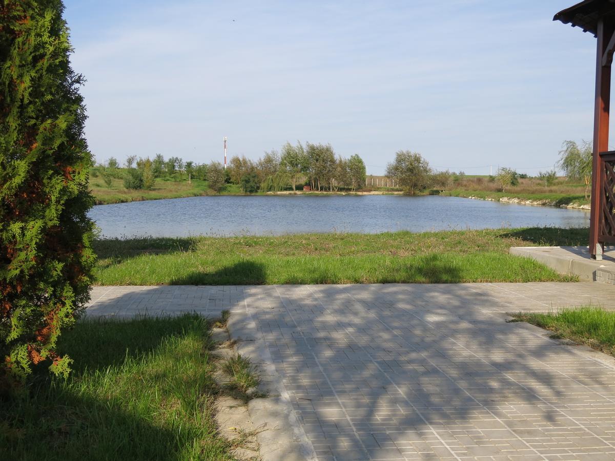 Conacul De Pe Lac Sagu Εξωτερικό φωτογραφία